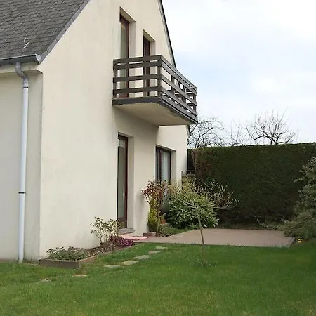 Des Bois Sans Nombre