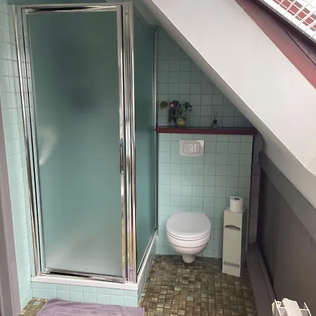 Des Bois Sans Nombre