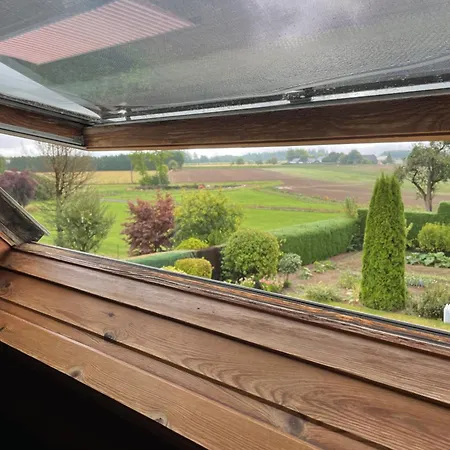 Des Bois Sans Nombre Paliseul