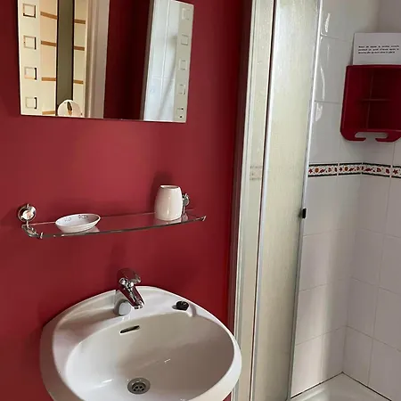 Des Bois Sans Nombre Paliseul