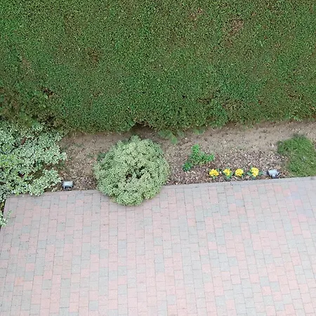 Des Bois Sans Nombre 3* Paliseul