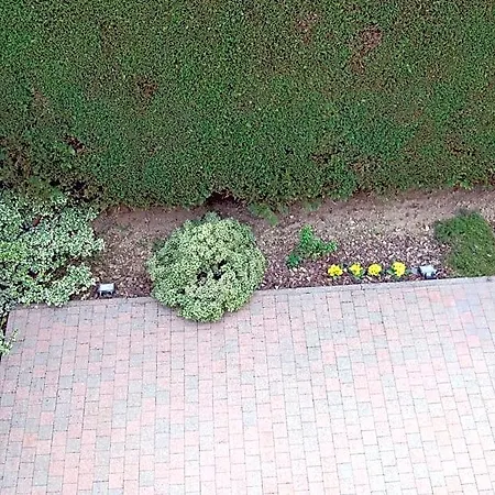 Des Bois Sans Nombre Panzió