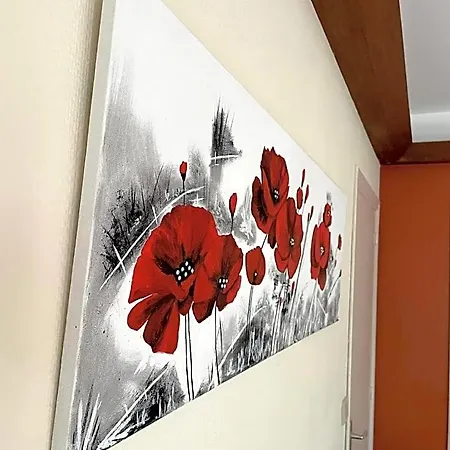 Des Bois Sans Nombre Paliseul